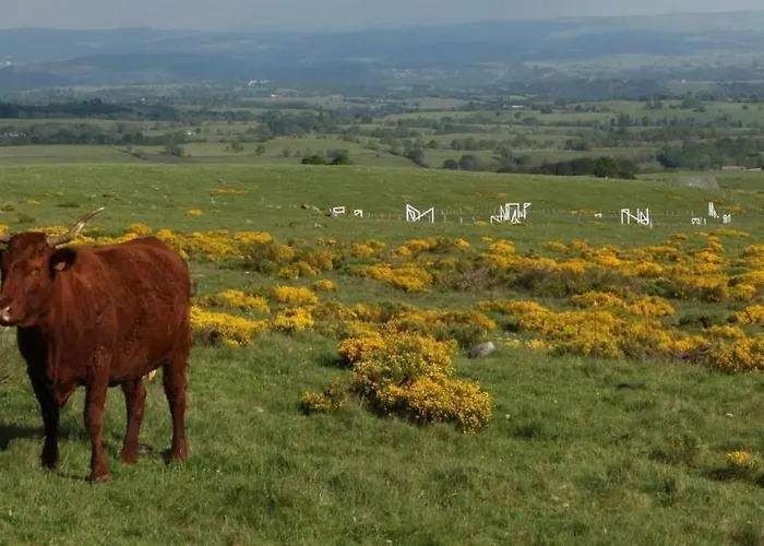 Villa 6 Personnes A Pailherols Saint-Clement (Cantal)
